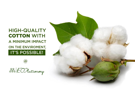 Sustainability Organic cotton